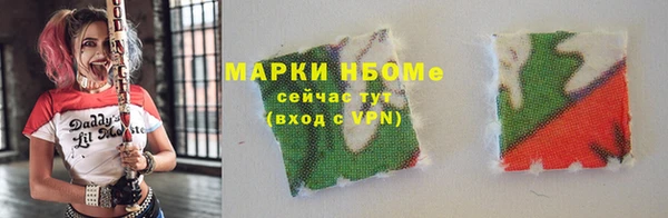 ПСИЛОЦИБИНОВЫЕ ГРИБЫ Козловка
