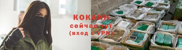 ПСИЛОЦИБИНОВЫЕ ГРИБЫ Козловка