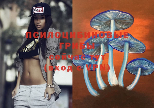 ПСИЛОЦИБИНОВЫЕ ГРИБЫ Козловка