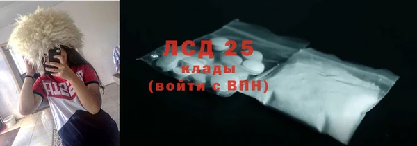 ПСИЛОЦИБИНОВЫЕ ГРИБЫ Козловка