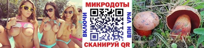 Купить  Злынка  Псилоцибиновые грибы Psilocybine cubensis 